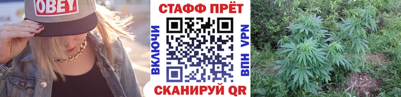 Купить наркотики цена Павлово Метадон  Меф  kraken зеркало  Канабис 