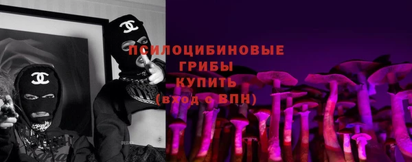 стафф Алзамай