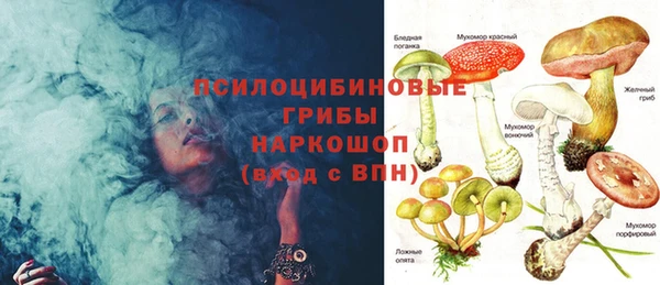 стафф Алзамай