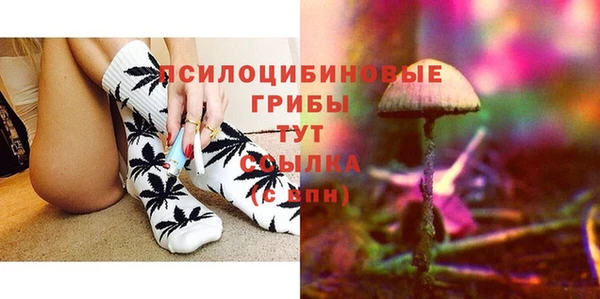 стафф Алзамай