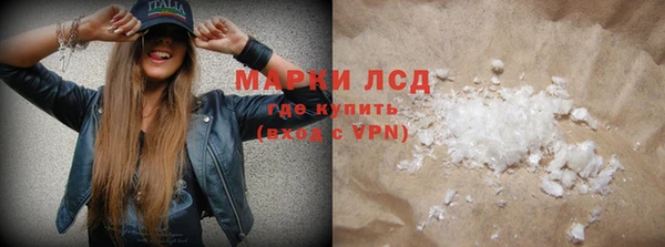 стафф Алзамай