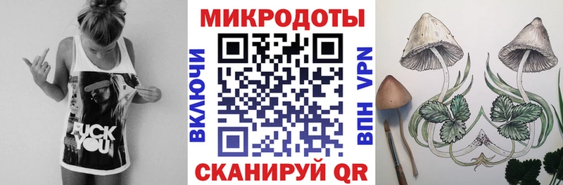 Псилоцибиновые грибы Psilocybe  Павлово 