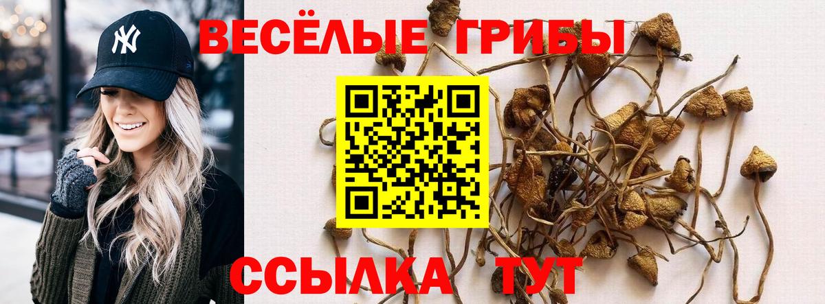 Павлово  Галлюциногенные грибы MAGIC MUSHROOMS  Вход с VPN 
